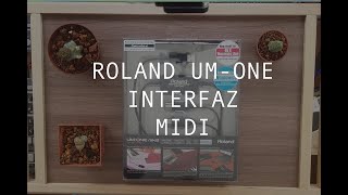 Roland Um One  Interfaz Midi  Reseña Uso Flujo de Conocimiento [upl. by Asyen400]