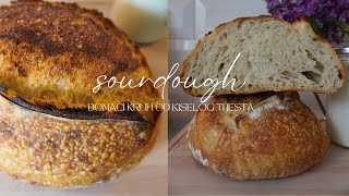 Kruh od kiselog tijesta  jednostavni sourdough kruh za početnike [upl. by Aanas23]