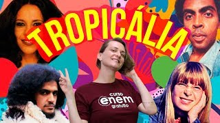 TROPICÁLIA  Resumo de Literatura para o Enem [upl. by Amasa]