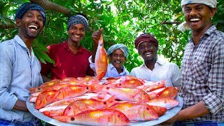 INDIAN GOAT FISH FRY  20 Kg Fish Fry with Flavoured Oil  Nagarai Meen Poriyal  Cooking In Village [upl. by Nolita564]