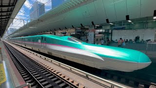 Riding the Japans Fastest Bullet Train l HAYABUSA First Class Seat 🚄 [upl. by Siron]