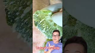 CRAZY Natural PORE STRIP REMOVAL shorts [upl. by De Witt]