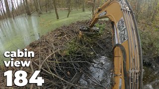 A Large Dam In The Middle Of The Forest  Beaver Dam Removal With Excavator No184  Cabin View [upl. by Aimo]