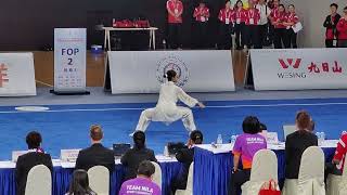 4th World Taijiquan championships 第4届世界太极拳锦标赛 2128 Aug2024 新加坡 [upl. by Aicilihp]