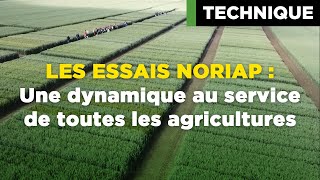 NORIAP  Les essais NORIAP  une dynamique au service de toutes les agricultures [upl. by Rehctaht]