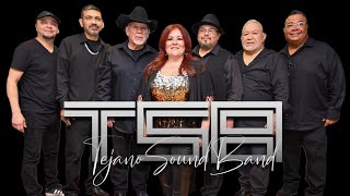 Tejano Sound Band  Lansing Michigan’s Concert in the Park [upl. by Shulamith]