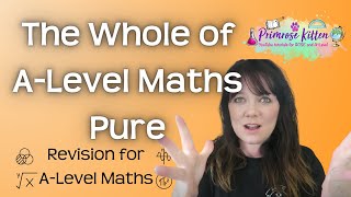 The Whole of A Level Maths  Pure  Revision for AQA Edexcel OCR AND WJEC [upl. by Auqcinahs692]