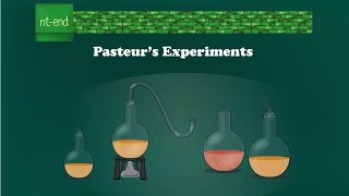 Pasteurs experiments Microbiology biology pasteur microbiology louispasteur [upl. by Chelsae942]