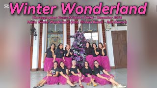 WINTER WONDERLAND  Line Dance Duma Kristina S INA [upl. by Haceber]