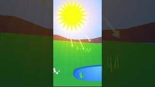 Water Cycle Song shorts [upl. by Pip473]