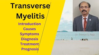 Transverse Myelitis [upl. by Rammus611]