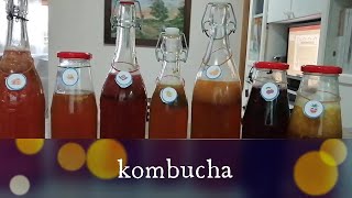 kombucha desde cero en casa primer y segundo fermento [upl. by Jelene]