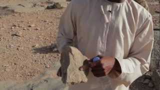 Check out Incredible Fossils in Musandams Mountains Oman [upl. by Oiliruam]