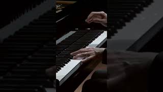 CHOPIN Ballade No 1 110 [upl. by Adnohsor396]