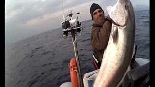 amderjack ΜΑΓΙΑΤΙΚΟ 46 kg sotos fishingwmv [upl. by Yensehc763]