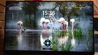 How To Enable amp Disable FreeSync Premium on Samsung Odyssey G3 [upl. by Andrey103]