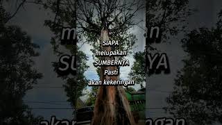 SubhanallahSenantiasa ingat pada Maha Pengasih dan Penyayang music love [upl. by Neiv]