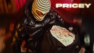 Kam Prada  Pricey Official Lyric Video [upl. by Nelubez]