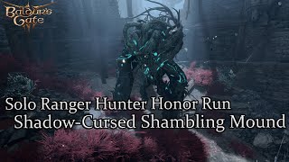 Solo Hunter Ranger Shambling Mound Honor Run Part 41 [upl. by Mannos]