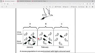 Evolution questions on lamarck and darwin Grade 12 Life Science [upl. by Centonze]