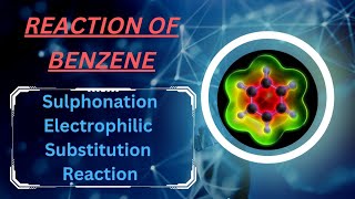 Reaction Of Benzene Sulphonation quotElectrophilic Substitution Reactionquot [upl. by Bohs]