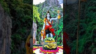 Mahadev Status shorts trending mahadev mahakal ytshorts [upl. by Eeliram]