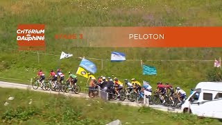 Critérium du Dauphiné 2020  Stage 3  Peloton [upl. by Lamaaj]