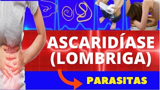 ASCARIDÍASE LOMBRIGA  CICLO DE VIDA SINTOMAS DIAGNÓSTICO E TRATAMENTO  PARASITOLOGIA [upl. by Neelloj531]