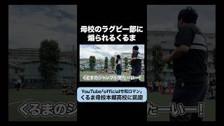 【本郷高校】高校ラグビー部に煽られるくるま 令和ロマン [upl. by Kellyn]