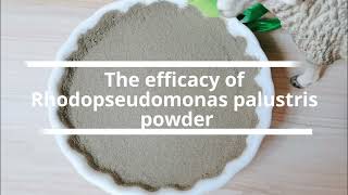 Introduction to Rhodopseudomonas palustris powder [upl. by Genet]