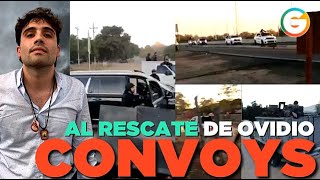 Convoys al rescate de Ovidio Guzmán Sinaloa [upl. by Ellehcan]