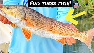 How to find REDFISH FLOUNDER and SPECKLED TROUT right now Im finally back after a MONTH OFF [upl. by Helve766]