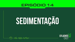 Ep 14 Sedimentação [upl. by Auqinu]