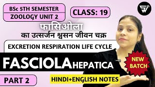 Life Cycle of Fasciola Hepatica  Ctenophora to Nemathalminthes  BSc 5th Semester ZOOLOGY [upl. by Keraj]