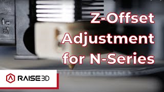 NSeries ZOffset Calibration Guide  Raise Academy [upl. by Lyret750]