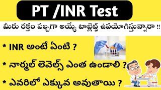 PTINR Test in Telugu [upl. by Zinah]