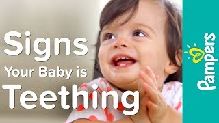 Baby Teething Symptoms Signs amp Timeline  Pampers Teething Tips [upl. by Winona]