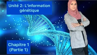 Unité 2 l’information génétique et son mécanisme d’expressionchapitre 1 partie 1 [upl. by Assitruc329]