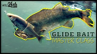 Glide Bait Bass Fishing 🐟  Everything You Need to Know ‼️ [upl. by Christopher]