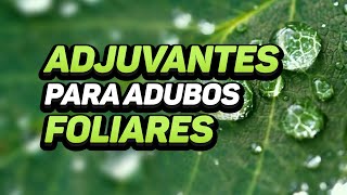 ADJUVANTES PARA ADUBOS FOLIARES [upl. by Knudson5]