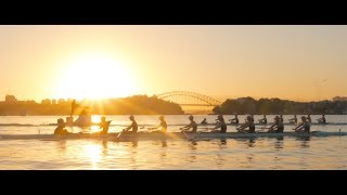 JOEYS ROWING 2019 [upl. by Lulita]