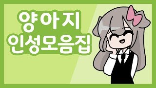 인성 터져버린 양아지 모음집 [upl. by Anetta]