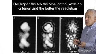 Microscopy Resolution in Microscopy Jeff Lichtman [upl. by Addiel]