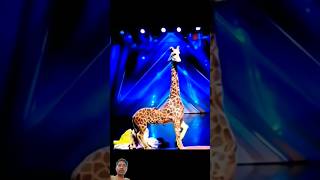 Americas Got Talent Giraffe 🦒 Magic😱😨  Duo SchumacherAGTamericagottalentmagic [upl. by Ruiz]