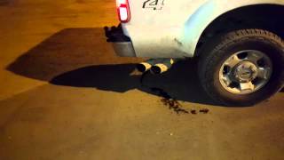 67 powerstroke dpf delete exhaust sound [upl. by Navap]