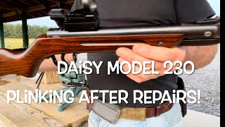 Daisy model 230 by Milbro testing amp plinking after repairs [upl. by Sirc]