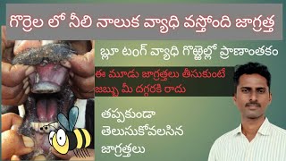 Blue tongue disease in sheep గొర్రెలలో నీలి నాలుక వ్యాధి [upl. by Suired634]