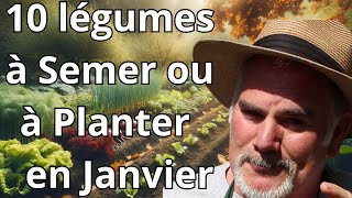 Les Incontournables du Potager en Janvier Nord vs Sud [upl. by Anelrad848]