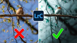 7 Lightroom Tips to ENHANCE Your Editing Game [upl. by Ahsikrats917]