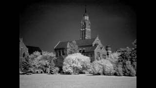 Lesson 13 Infrared Photography Tips [upl. by Nosirb923]